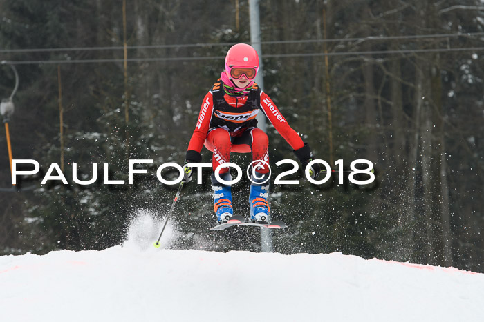 BSV U12 Kids Cross Cup 3 Region 3, 24.02.2018