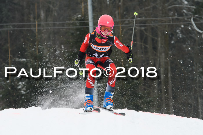 BSV U12 Kids Cross Cup 3 Region 3, 24.02.2018