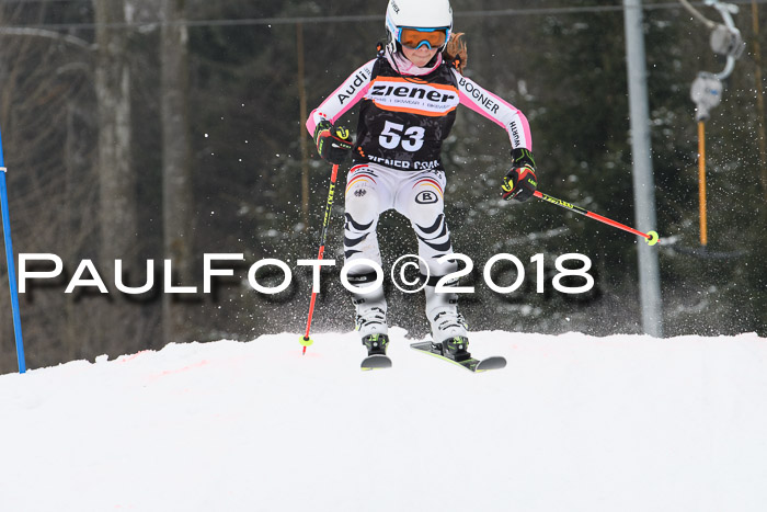 BSV U12 Kids Cross Cup 3 Region 3, 24.02.2018