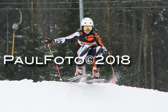 BSV U12 Kids Cross Cup 3 Region 3, 24.02.2018