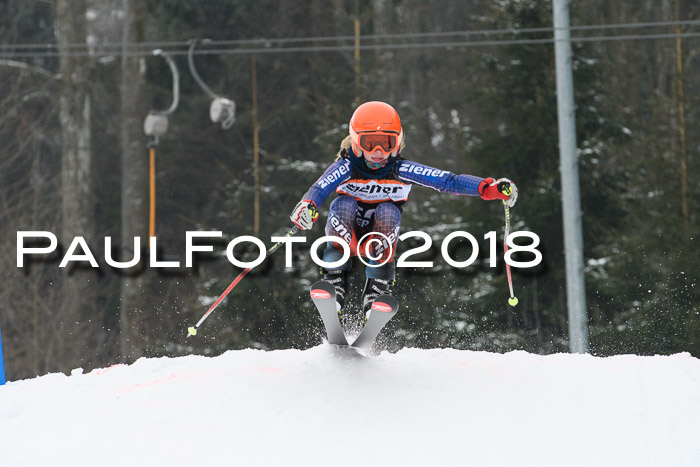 BSV U12 Kids Cross Cup 3 Region 3, 24.02.2018