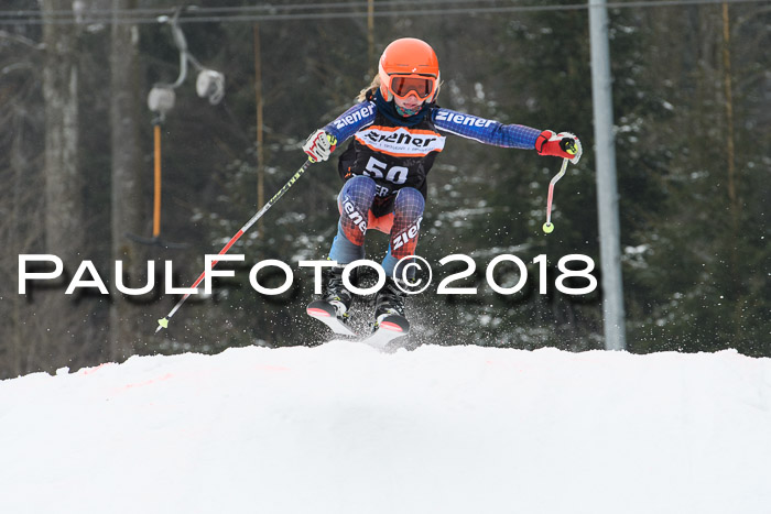 BSV U12 Kids Cross Cup 3 Region 3, 24.02.2018