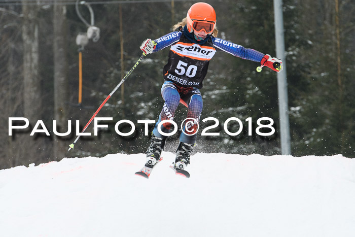 BSV U12 Kids Cross Cup 3 Region 3, 24.02.2018