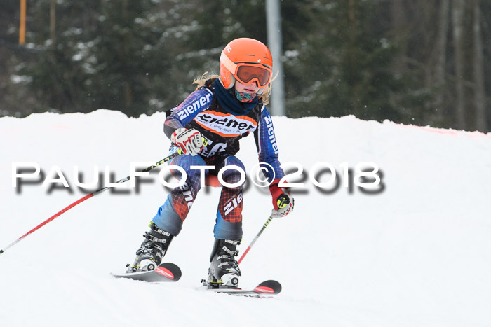 BSV U12 Kids Cross Cup 3 Region 3, 24.02.2018