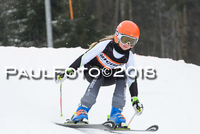 BSV U12 Kids Cross Cup 3 Region 3, 24.02.2018