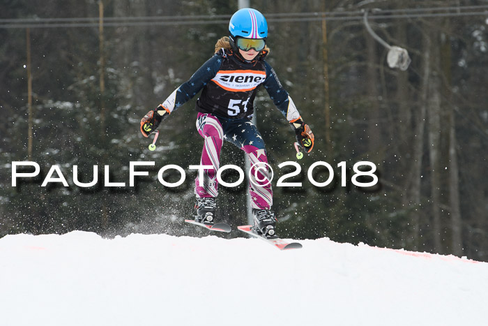 BSV U12 Kids Cross Cup 3 Region 3, 24.02.2018