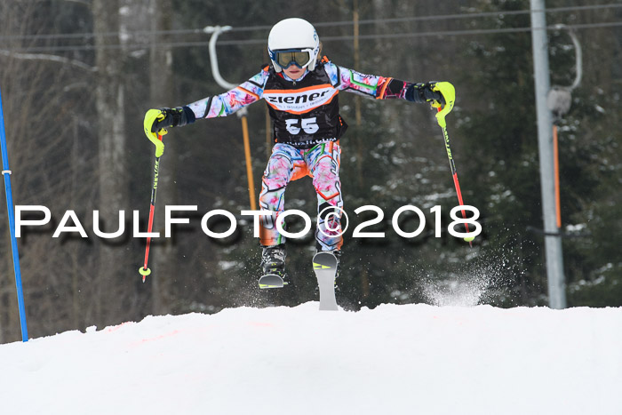 BSV U12 Kids Cross Cup 3 Region 3, 24.02.2018