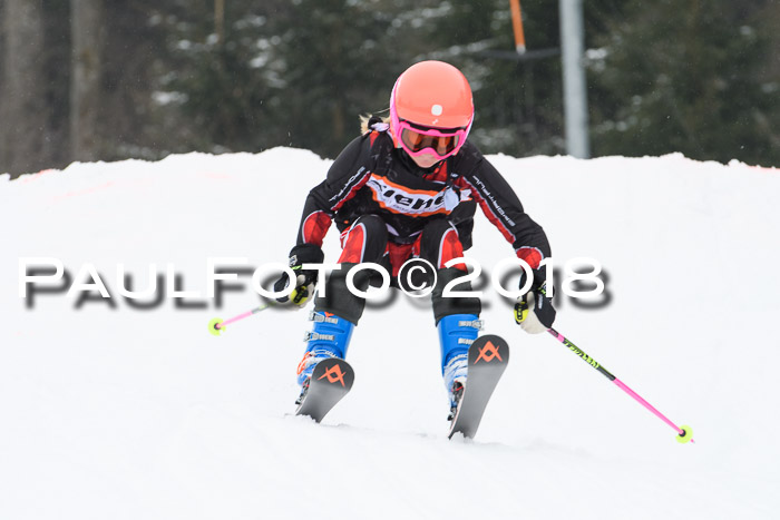 BSV U12 Kids Cross Cup 3 Region 3, 24.02.2018