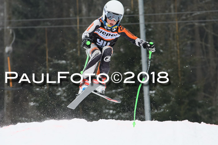 BSV U12 Kids Cross Cup 3 Region 3, 24.02.2018