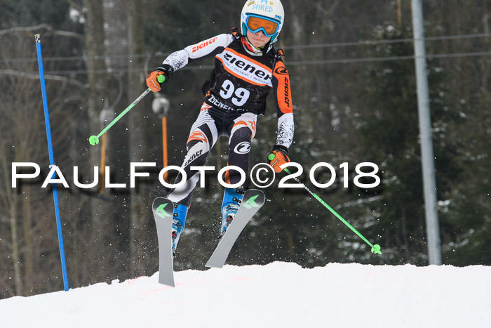 BSV U12 Kids Cross Cup 3 Region 3, 24.02.2018