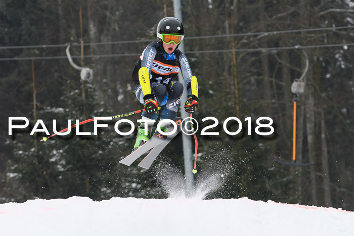 BSV U12 Kids Cross Cup 3 Region 3, 24.02.2018