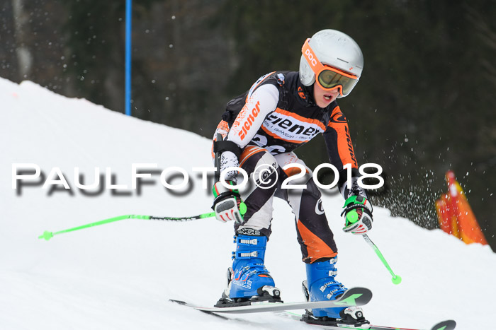 BSV U12 Kids Cross Cup 3 Region 3, 24.02.2018