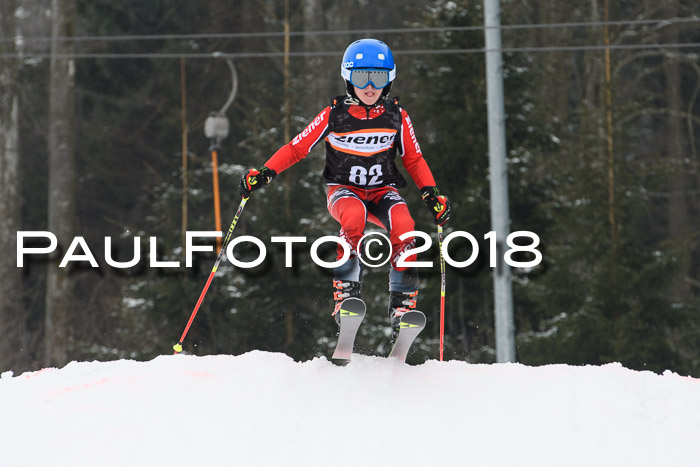 BSV U12 Kids Cross Cup 3 Region 3, 24.02.2018