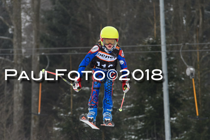 BSV U12 Kids Cross Cup 3 Region 3, 24.02.2018