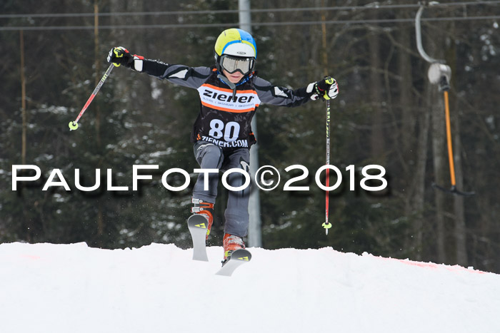 BSV U12 Kids Cross Cup 3 Region 3, 24.02.2018