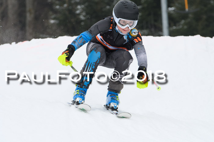 BSV U12 Kids Cross Cup 3 Region 3, 24.02.2018