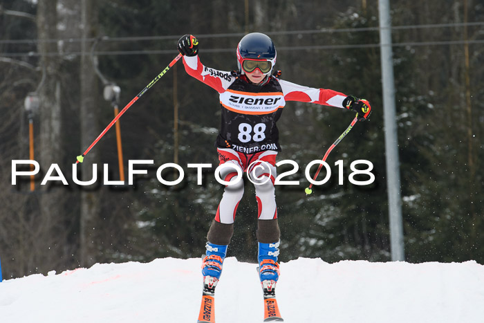 BSV U12 Kids Cross Cup 3 Region 3, 24.02.2018