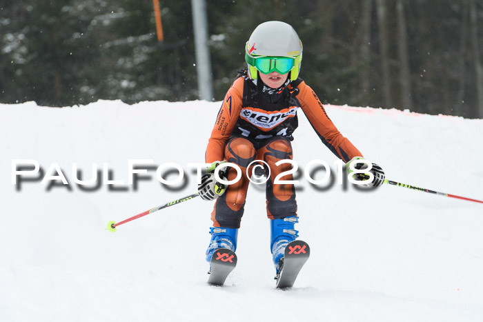 BSV U12 Kids Cross Cup 3 Region 3, 24.02.2018