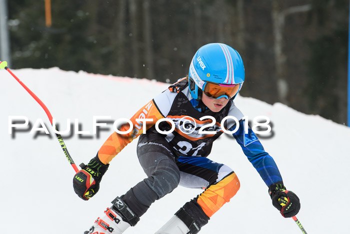 BSV U12 Kids Cross Cup 3 Region 3, 24.02.2018