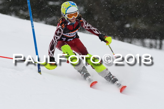 4. Ziener Cup WF, 25.02.2018