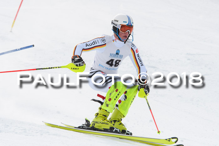 FIS Alpine Kombi 2x Slalom Herren 26.02.2018