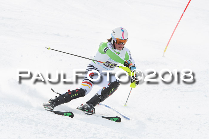 FIS Alpine Kombi 2x Slalom Herren 26.02.2018