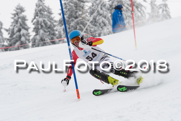 FIS Alpine Kombi 2x Slalom Herren 26.02.2018