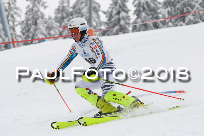 FIS Alpine Kombi 2x Slalom Herren 26.02.2018