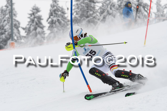 FIS Alpine Kombi 2x Slalom Herren 26.02.2018