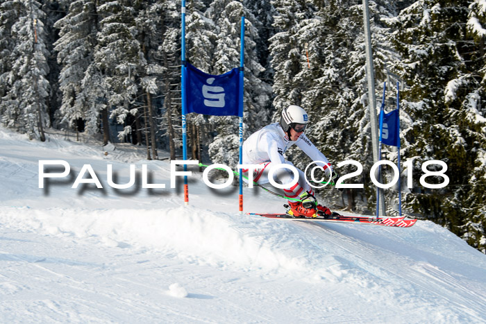 Int. FIS Rennen + NJC Herren, SG, Götschen, 26.02.2018