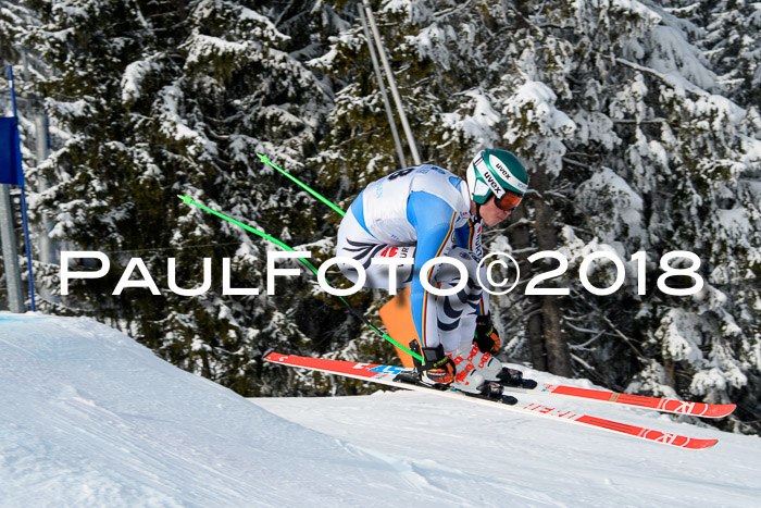 Int. FIS Rennen + NJC Herren, SG, Götschen, 26.02.2018