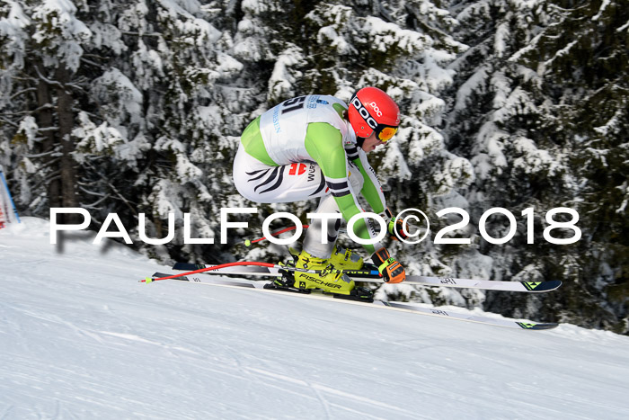 Int. FIS Rennen + NJC Herren, SG, Götschen, 26.02.2018