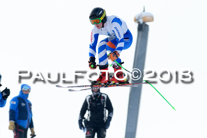 Int. FIS Rennen + NJC Herren, SG, Götschen, 26.02.2018