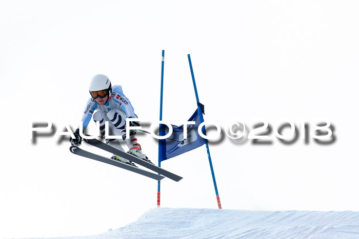 Int. FIS Rennen + NJC Herren, SG, Götschen, 26.02.2018