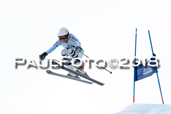 Int. FIS Rennen + NJC Herren, SG, Götschen, 26.02.2018