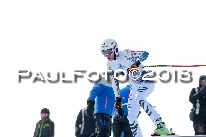 Int. FIS Rennen + NJC Herren, SG, Götschen, 26.02.2018