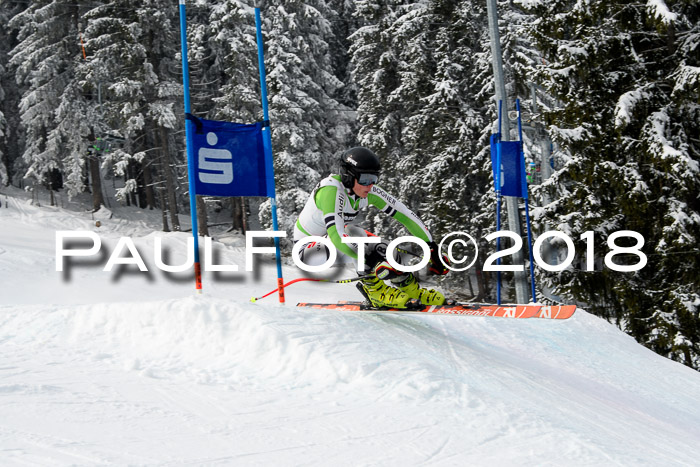 Int. FIS Rennen + NJC Herren, SG, Götschen, 26.02.2018