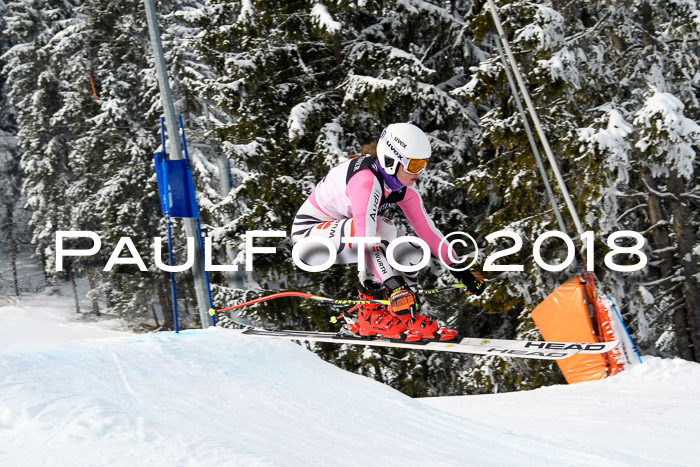 Int. FIS Rennen + NJC Herren, SG, Götschen, 26.02.2018