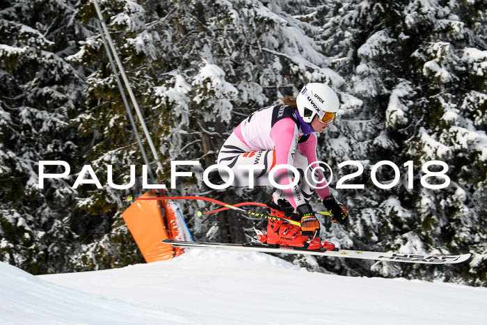 Int. FIS Rennen + NJC Herren, SG, Götschen, 26.02.2018