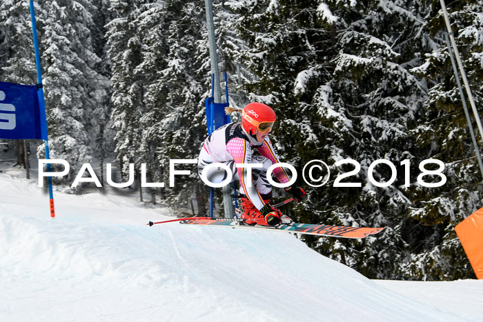 Int. FIS Rennen + NJC Herren, SG, Götschen, 26.02.2018