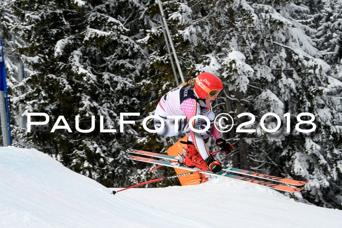 Int. FIS Rennen + NJC Herren, SG, Götschen, 26.02.2018