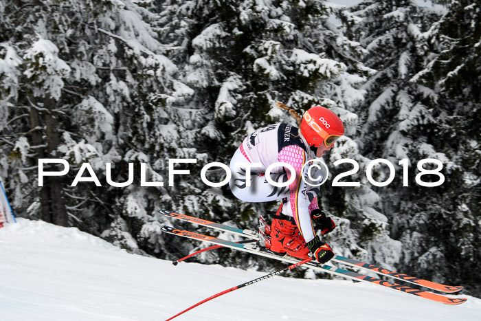 Int. FIS Rennen + NJC Herren, SG, Götschen, 26.02.2018