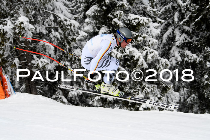 Int. FIS Rennen + NJC Herren, SG, Götschen, 26.02.2018