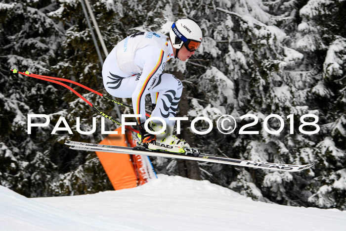 Int. FIS Rennen + NJC Herren, SG, Götschen, 26.02.2018