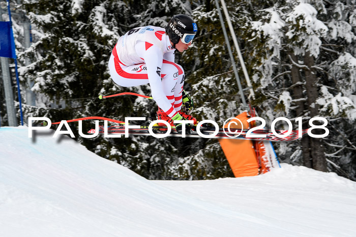 Int. FIS Rennen + NJC Herren, SG, Götschen, 26.02.2018