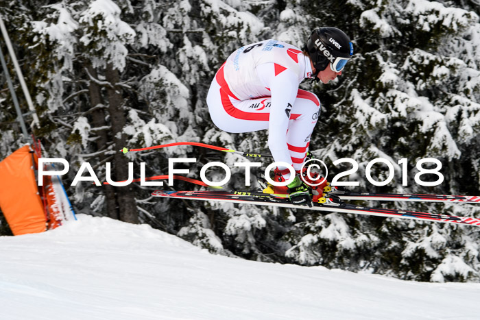 Int. FIS Rennen + NJC Herren, SG, Götschen, 26.02.2018