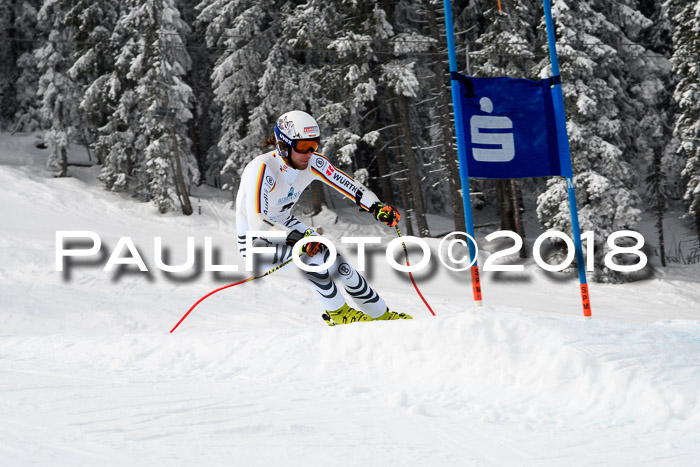 Int. FIS Rennen + NJC Herren, SG, Götschen, 26.02.2018