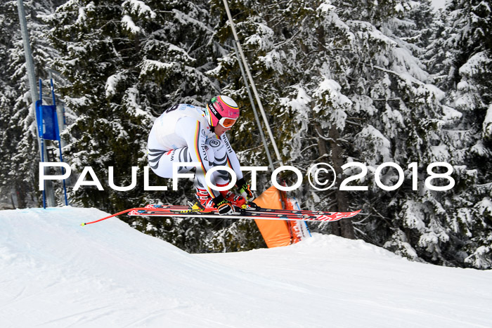 Int. FIS Rennen + NJC Herren, SG, Götschen, 26.02.2018