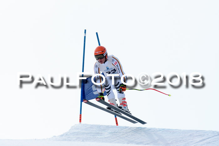 Int. FIS Rennen + NJC Herren, SG, Götschen, 26.02.2018