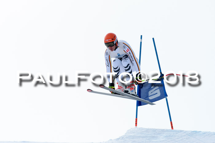 Int. FIS Rennen + NJC Herren, SG, Götschen, 26.02.2018